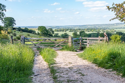 gates in field with track