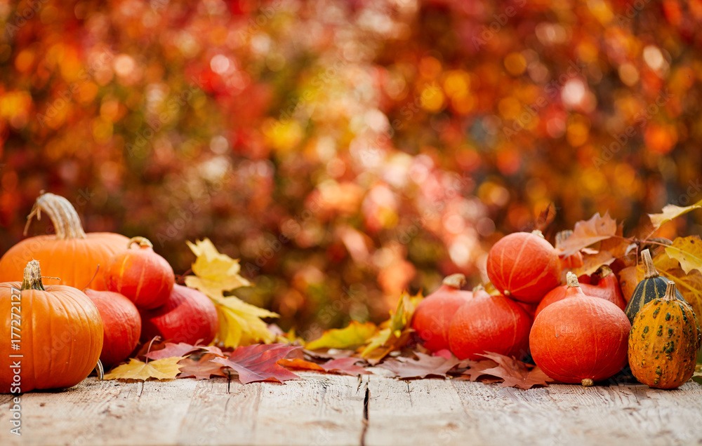 pumpkins on a table with autumn leaves